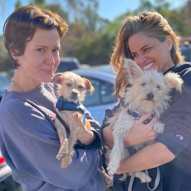 Sarah Paulson and Bestie Amanda Peet Introduce Their New Rescue Dogs